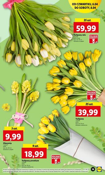 Lidl Tulipany 35 cm oferta