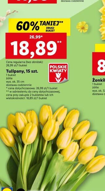 Lidl Tulipany oferta