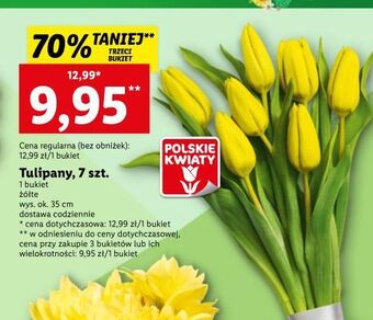 Lidl Tulipany oferta