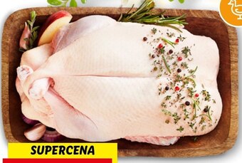 Lidl Kaczka rzeźnik oferta