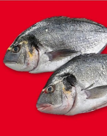 Selgros Dorada oferta