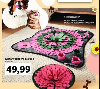 Lidl Mata węchowa dla psa oferta