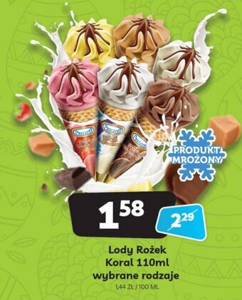Delfin Lody Rożek Koral 110ml oferta