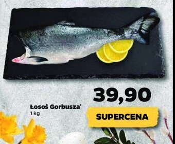 Netto Łosoś gorbusza oferta