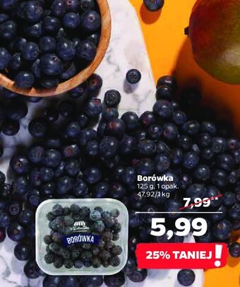 Netto Borówki oferta