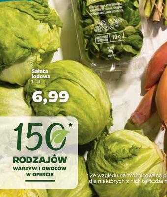 Netto Sałata lodowa oferta