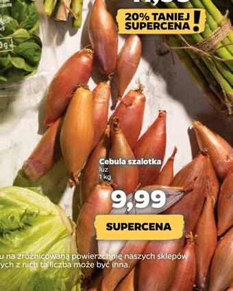 Netto Cebula szalotka oferta