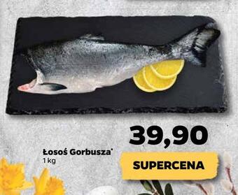 Netto Łosoś gorbusza * oferta