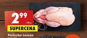 Biedronka Perliczka oferta