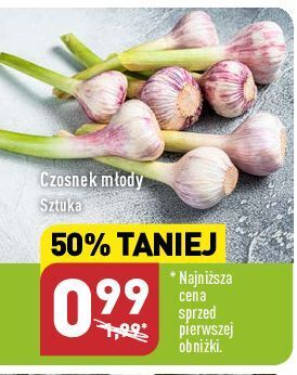 ALDI Czosnek młody oferta