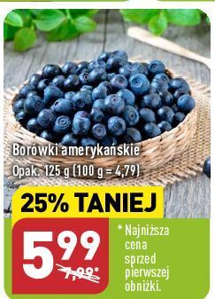 ALDI Borówka amerykańska oferta
