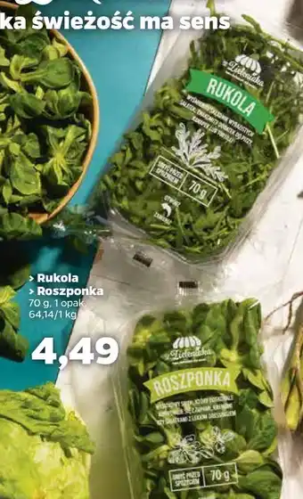 Netto Roszponka z zieleniaka netto oferta