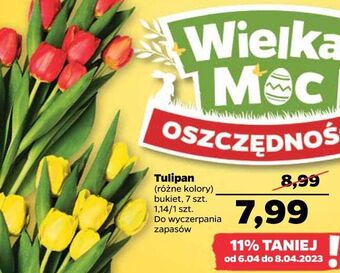 Netto Tulipan oferta