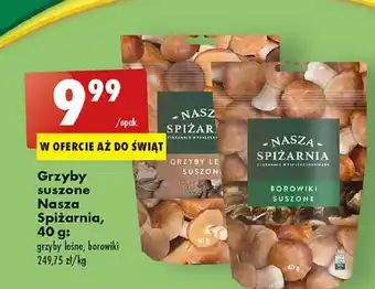 Biedronka Borowiki suszone nasza spiżarnia oferta