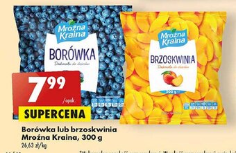 Biedronka Borówki oferta