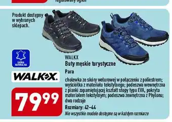 ALDI Buty męskie turystyczne 42-44 oferta