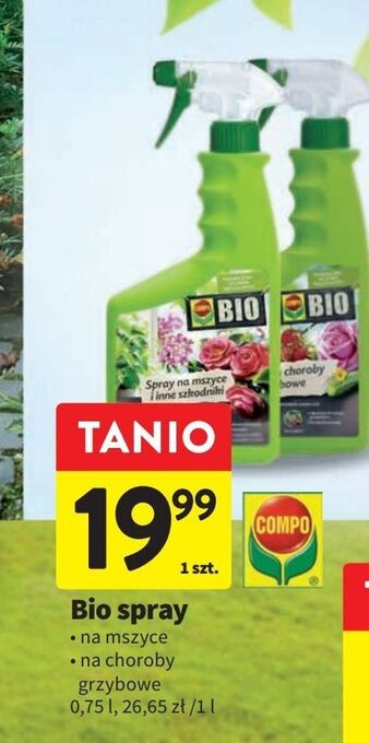 Intermarche Spray na choroby grzybowe bio compo oferta