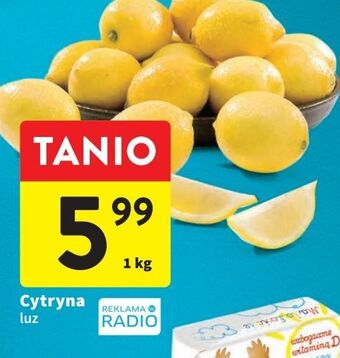 Intermarche Cytryny oferta
