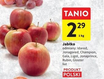 Intermarche Jabłka jonaprince oferta