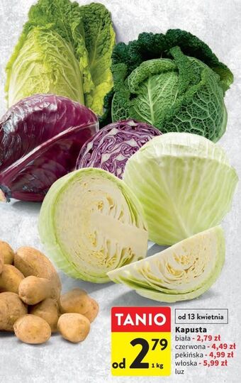 Intermarche Kapusta biała oferta