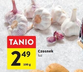 Intermarche Czosnek oferta