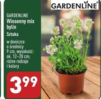 ALDI Bylina gardenline oferta
