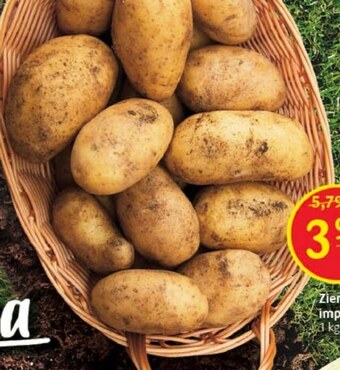Delikatesy Centrum Ziemniaki oferta