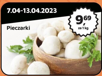 Odido Pieczarki oferta