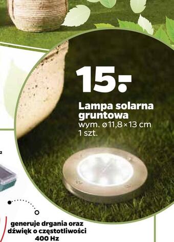 Netto Lampa solarna gruntowa oferta