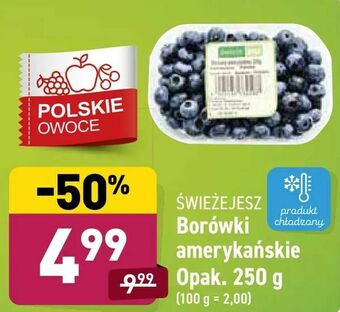 ALDI Borówki amerykańskie oferta