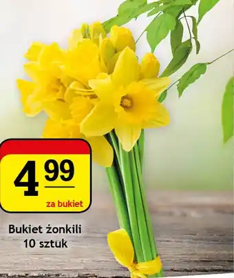 Gram Market Bukiet żonkili 10 sztuk oferta