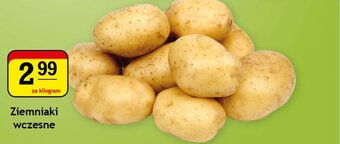 Gram Market Ziemniaki wczesne 1kg oferta