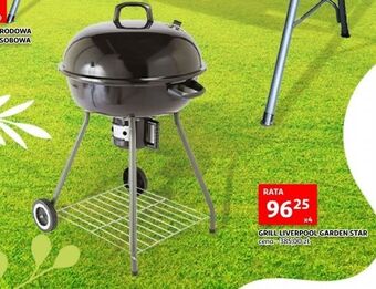 Auchan Grill węglowy liverpool garden star oferta