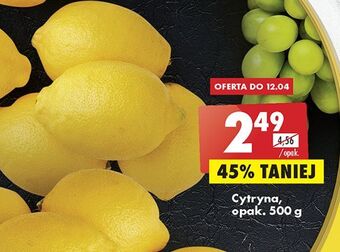 Biedronka Cytryny oferta