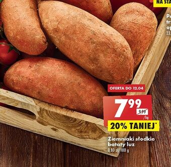 Biedronka Bataty oferta