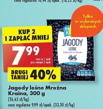 Biedronka Jagody leśne mroźna kraina oferta