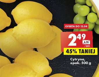 Biedronka Cytryna opak. 500 g oferta