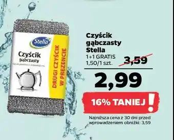 Netto Czyścik gąbczasty oferta