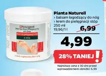 Netto Balsam łagodzący do nóg oferta