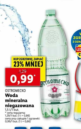 Lidl Woda mineralna niegazowana oferta