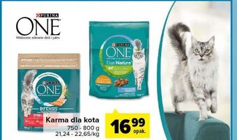 Carrefour Karma dla kota sterilcat wołowina i pszenica purina one oferta
