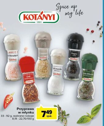 Carrefour Sól morska jodowana w młynku kotanyi oferta