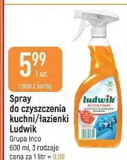 E.Leclerc Mleczko do czyszczenia łazienek ludwik aktywna piana oferta