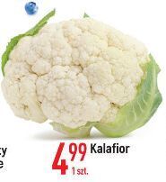 E.Leclerc Kalafior oferta