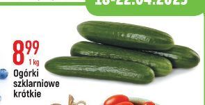 E.Leclerc Ogórki szklarniowe oferta