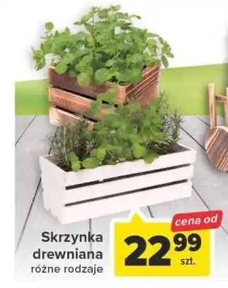 Carrefour Skrzynka drewniana oferta