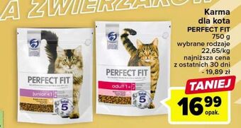 Carrefour Karma dla kota junior oferta