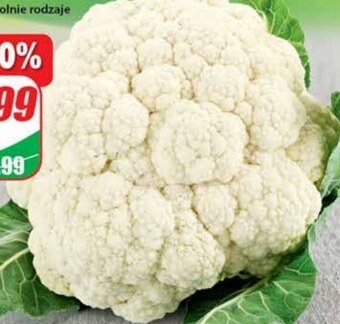 Dino Kalafior oferta