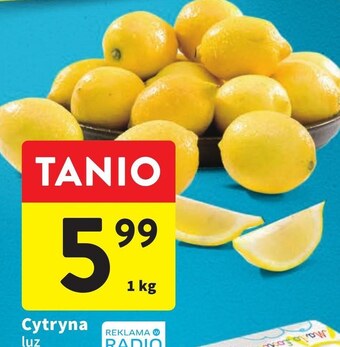 Intermarche Cytryna oferta
