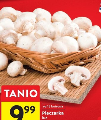 Intermarche Pieczarka krojona oferta
